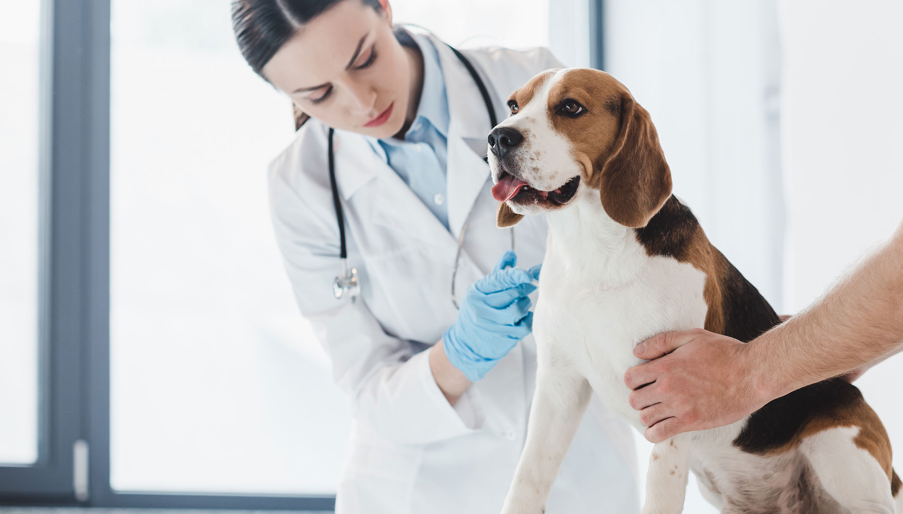 Our Staff Harlingen Veterinary Clinic