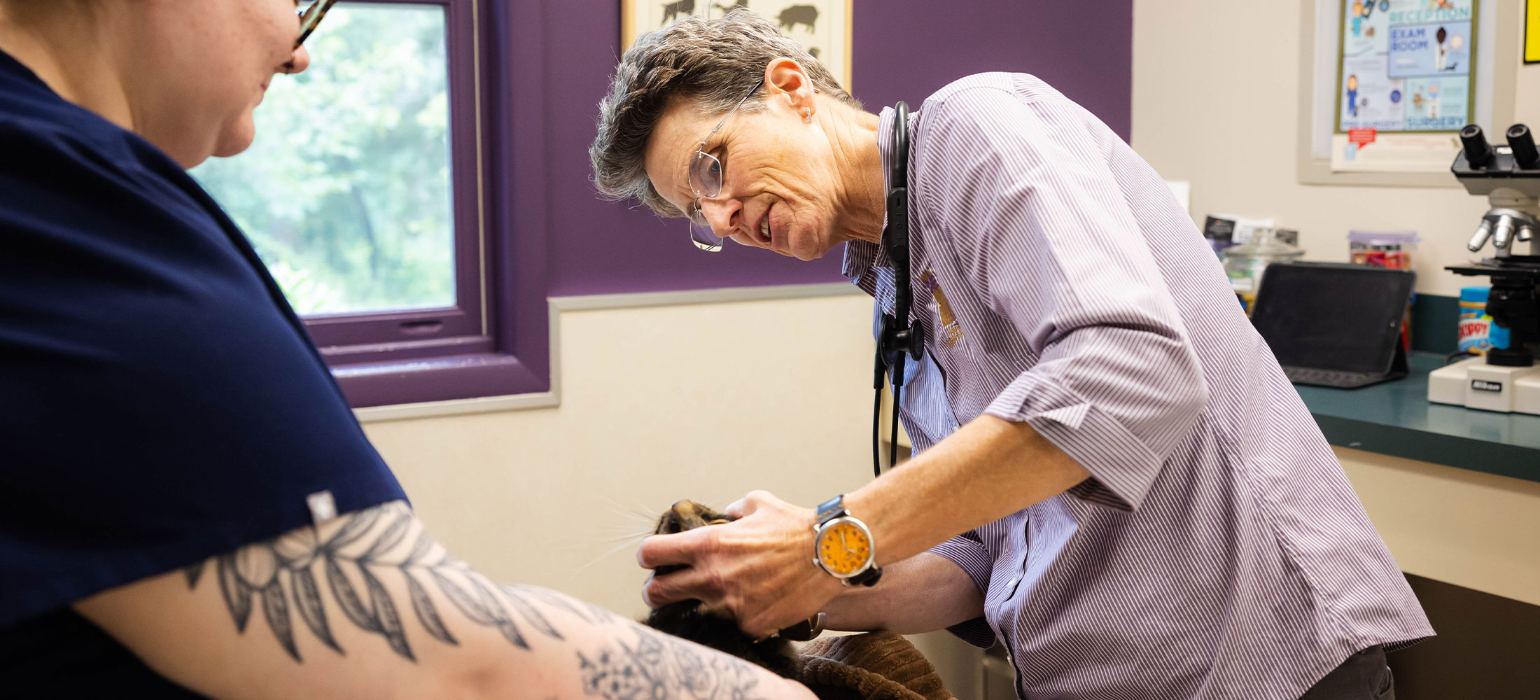 Pet Wellness in Belle Mead, NJ Harlingen Veterinary Clinic